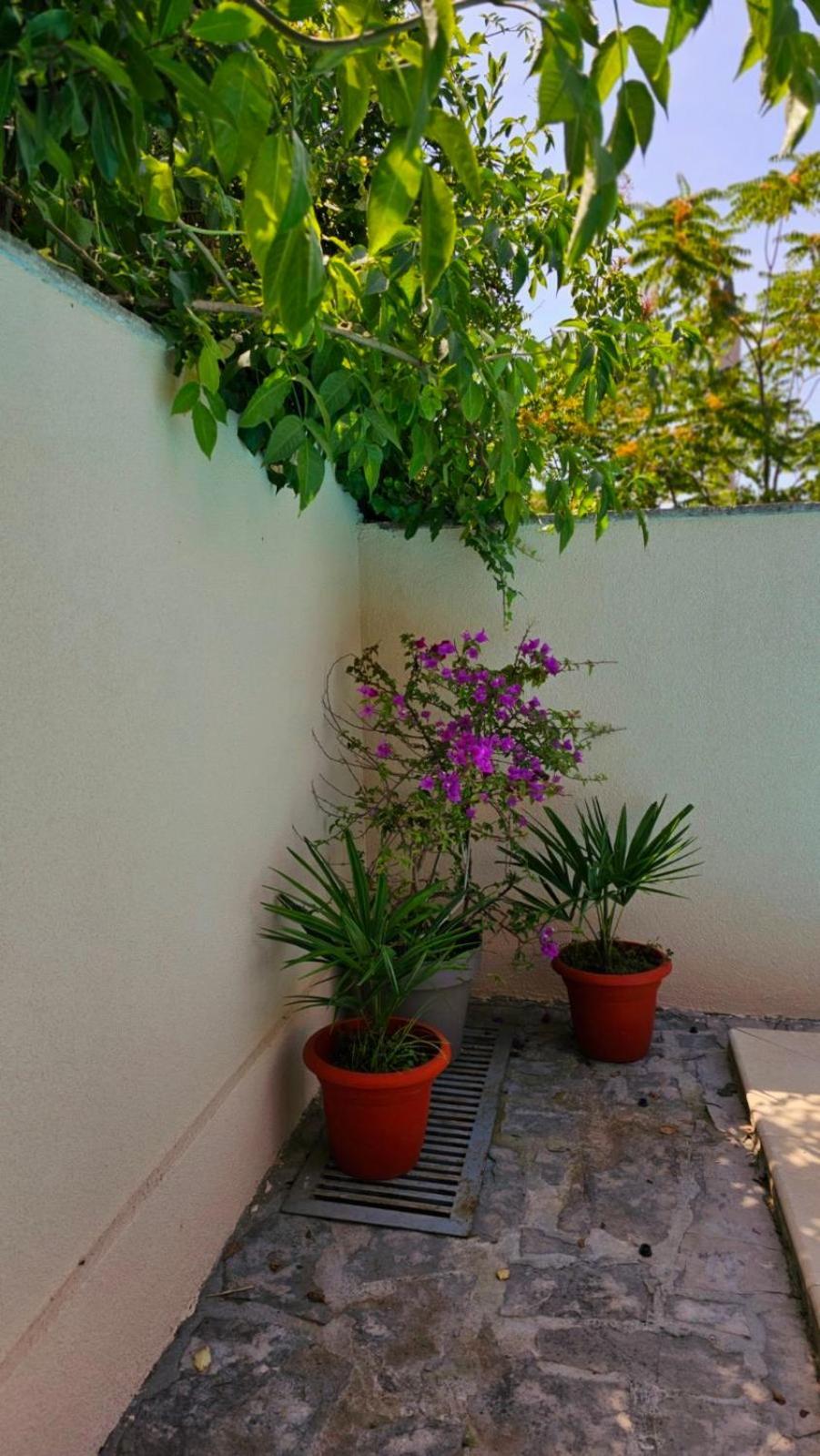 Lovely House With Swimming Pool Mostar Dış mekan fotoğraf