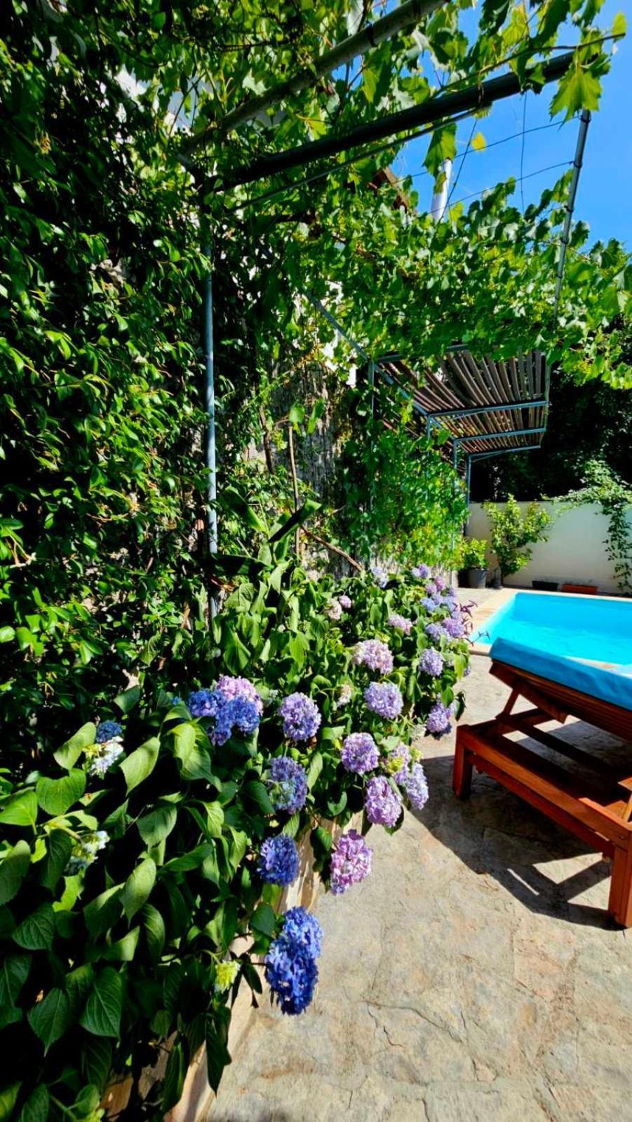 Lovely House With Swimming Pool Mostar Dış mekan fotoğraf